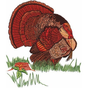 Wild Turkey - Machine Embroidery Design