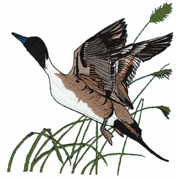 Flying Pintail Duck - Machine Embroidery Design