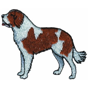 Saint Bernard - Machine Embroidery Design