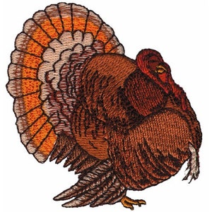 Turkey - Machine Embroidery Design