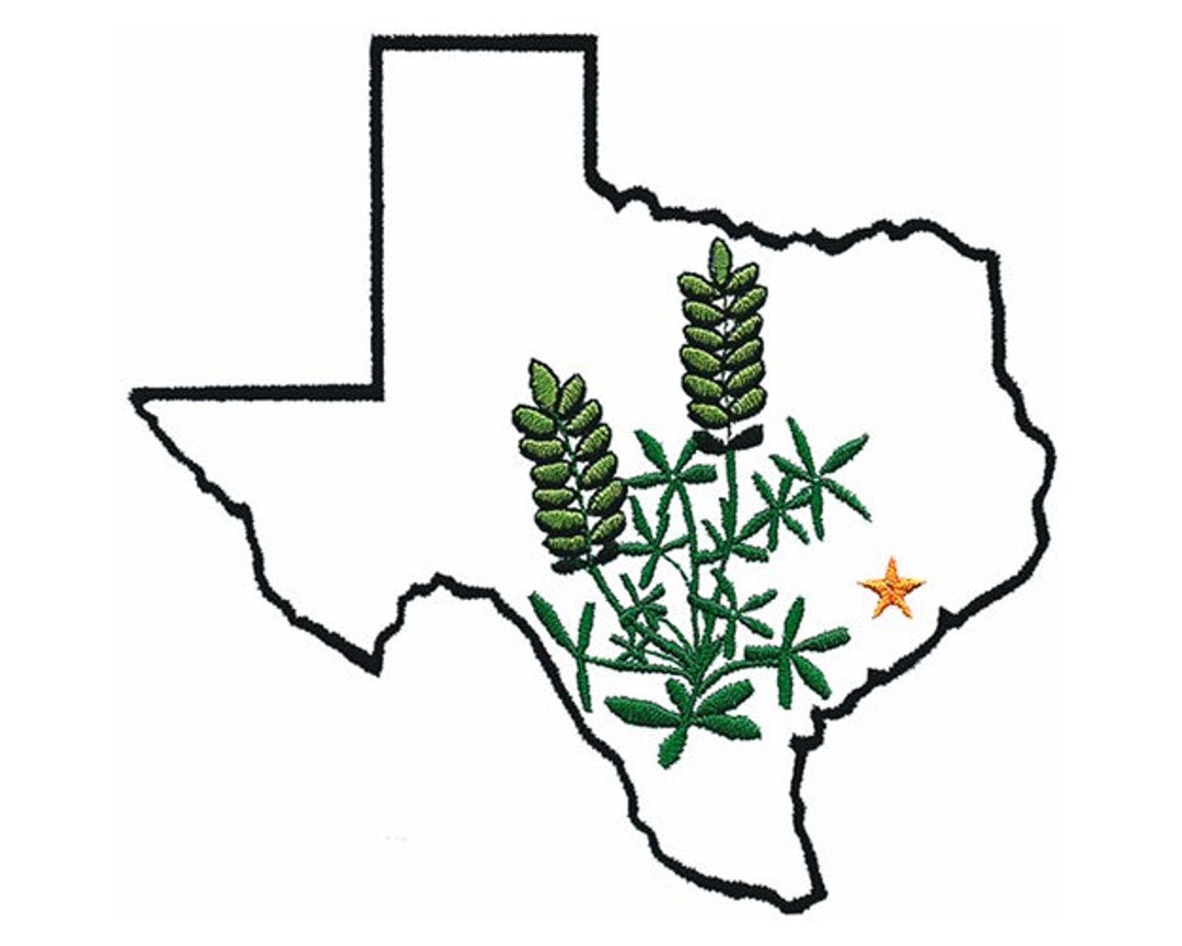Texas State Outline W/flower Machine Embroidery Design Etsy
