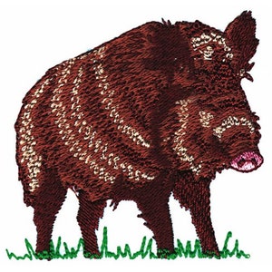 Wild Hog - Machine Embroidery Design