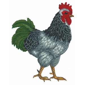 Rooster - Machine Embroidery Design