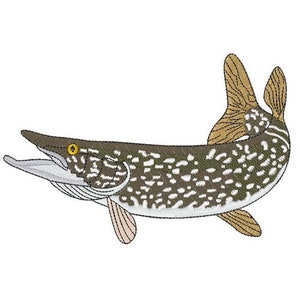 May include: A detailed illustration of a brown and white pike fish with a yellow eye. The fish is swimming with its mouth open and its fins spread out.