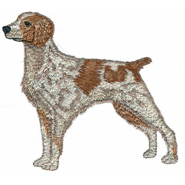 Brittany Spaniel - Conception de broderie à la machine