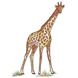 Giraffe - Machine Embroidery Design