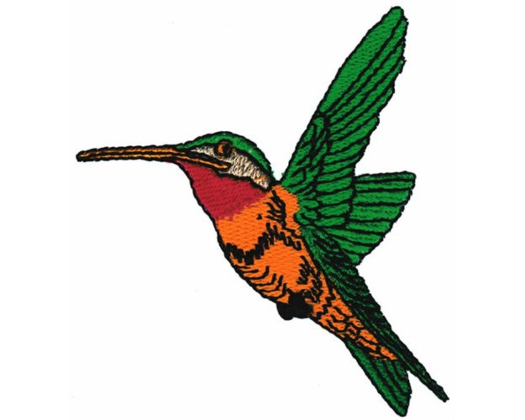 Hummingbird Machine Embroidery Design Etsy