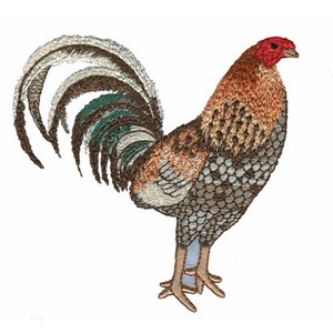 Light Brahmas - Machine Embroidery Design