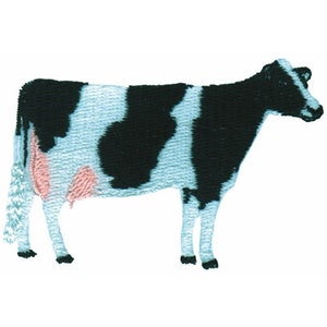May include: A black and white cow with pink udder, standing on a white background.