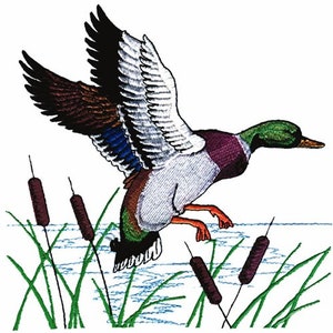 Mallard And Cattails - Machine Embroidery Design