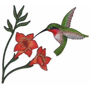 Hummingbird And Flower - Machine Embroidery Design