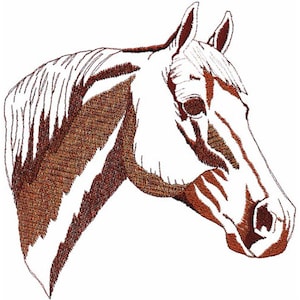 May include: A brown and white horse head with a brown mane and a white face. The horse is looking to the right.