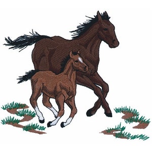 May include: A brown mare and her brown foal run through a grassy field. The mare has a black mane and tail, while the foal has a white blaze on its forehead.