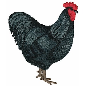 Australorp - Machine Embroidery Design