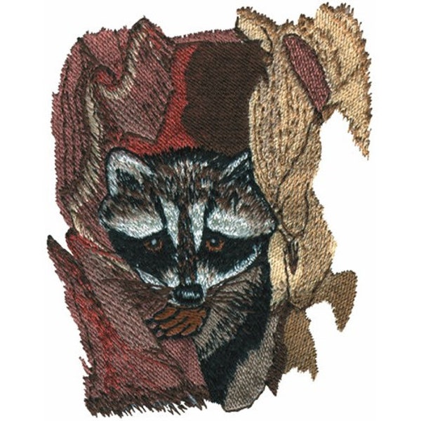 Raccoon - Machine Embroidery Design