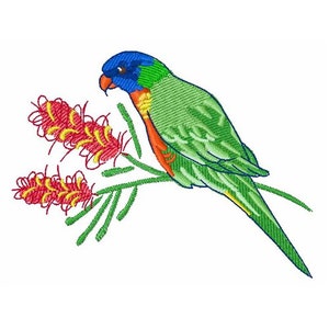 Lorikeet - Machine Embroidery Design