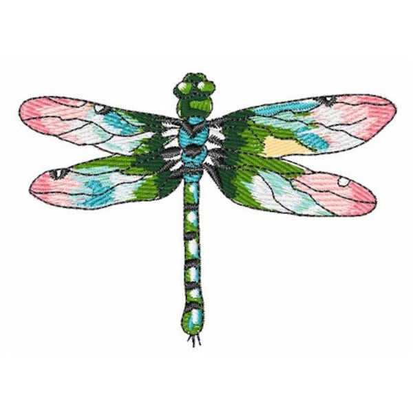 Dragonfly Embroidery Kit Etsy