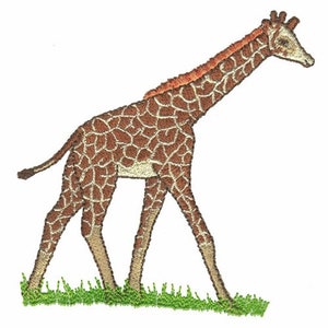 Giraffe - Machine Embroidery Design