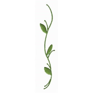 May include: A green vine with three leaves, a decorative design for a border or frame.