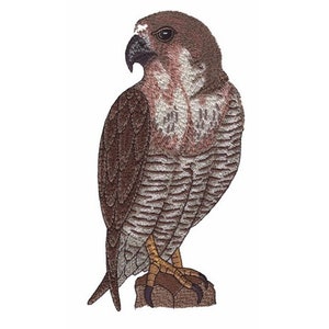 Falcon - Machine Embroidery Design
