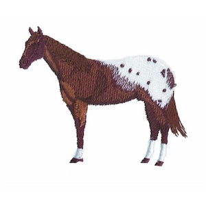 Appaloosa - Machine Embroidery Design