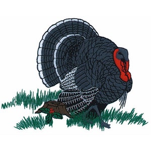 Turkey - Machine Embroidery Design