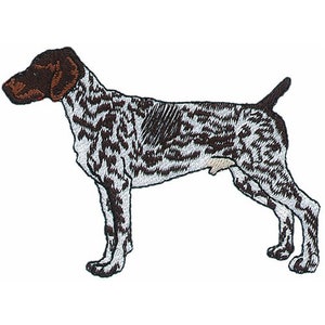 May include: A brown and white German Shorthaired Pointer dog standing on a white background. The dog is facing to the right and has a spotted coat.
