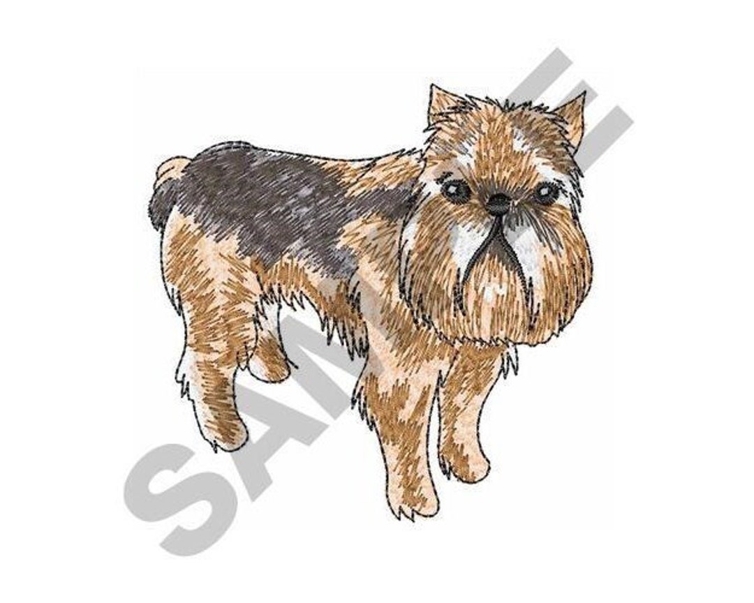 Brussels Griffon Griff Knitting Hoodie