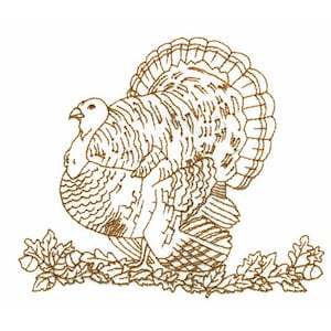 May include: A line drawing of a brown turkey with its tail feathers fanned out. The turkey is standing on a bed of brown leaves and acorns.