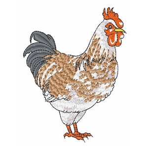 Chicken Rooster - Machine Embroidery Design