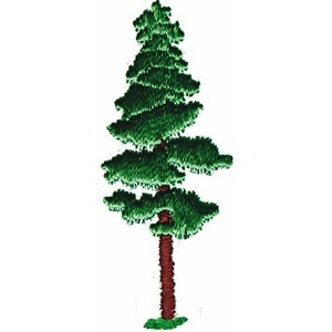 Pine Tree - Machine Embroidery Design