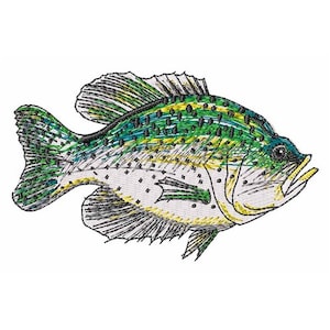 May include: A detailed line drawing of a green and yellow fish with black outlines. The fish has a large mouth and a prominent dorsal fin.