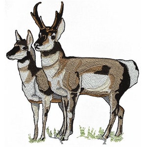 May include: Embroidered image of two pronghorn antelope, one standing behind the other. The antelope are brown, white, and black with a white background.