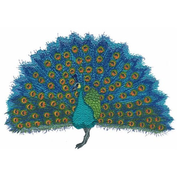 Peacock - Machine Embroidery Design