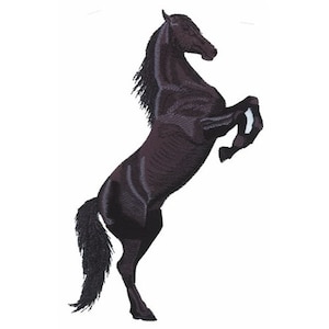 Horse - Machine Embroidery Design