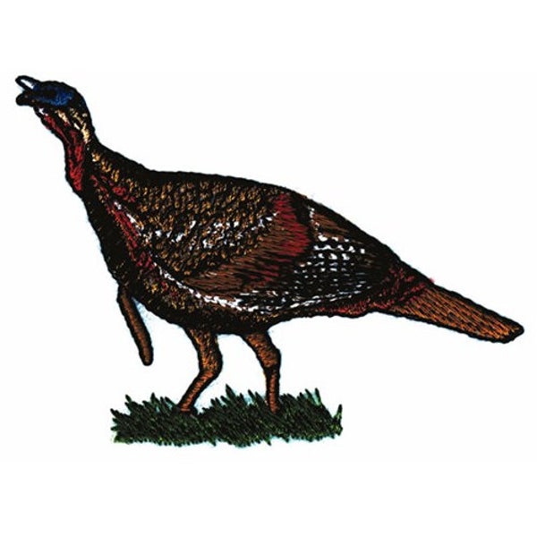 Wild Turkey - Machine Embroidery Design