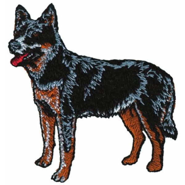 Australian Cattle Dog - Machine Embroidery Design