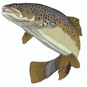 Peut inclure: Une truite brune avec des taches brun foncé et des marques rouges, sautant hors de l'eau la gueule ouverte.
