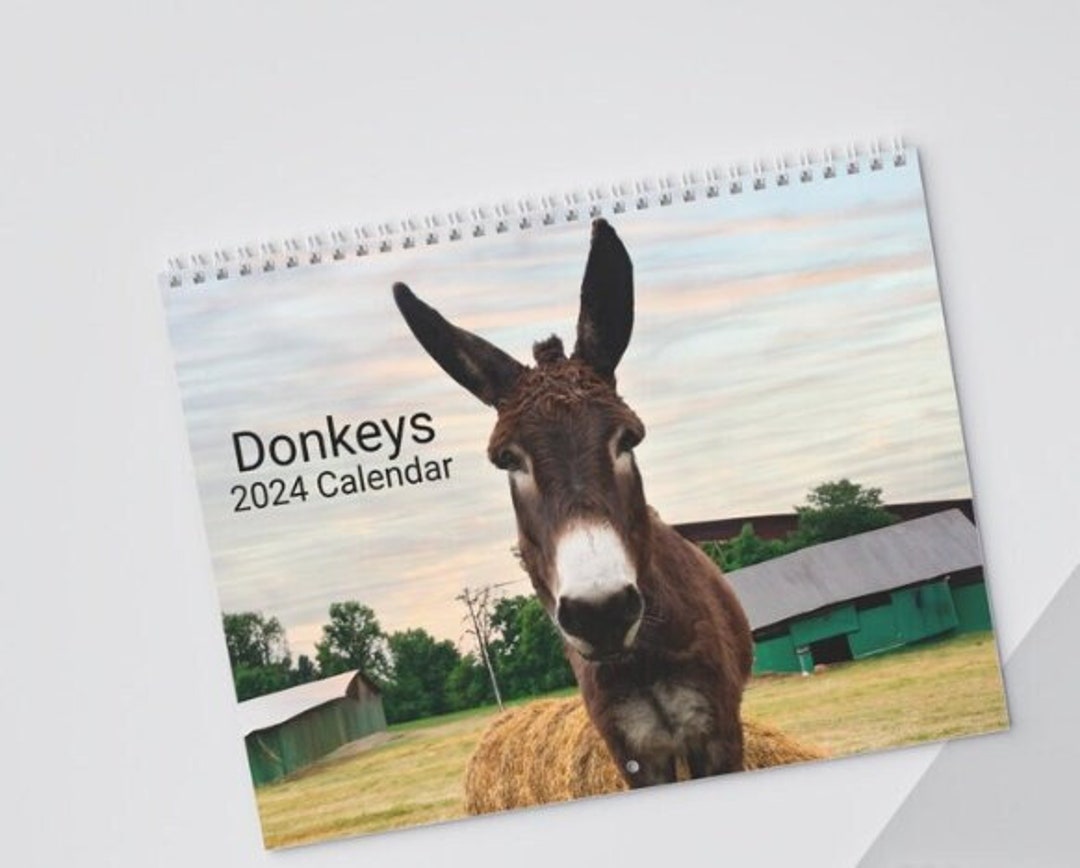 Donkeys 2024 Calendar, Hanging Wall Calendar, Monthly Calendar, Donkey