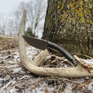 May include: A black handled knife with a silver blade resting on a white antler. The blade has the initials "CF" engraved on it.