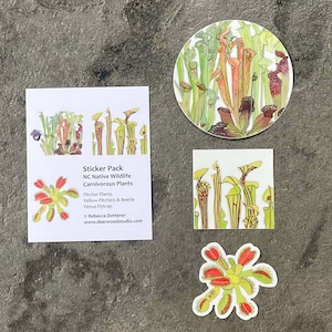 May include: A sticker pack featuring illustrations of carnivorous plants. The pack includes a rectangular sticker, a circular sticker, a square sticker, and a die-cut sticker of a Venus flytrap. The designs showcase pitcher plants and other native wildlife.