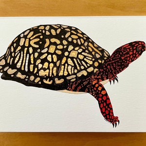 May include: A hand-drawn illustration of a box turtle with a black and yellow shell and red and black legs and head.