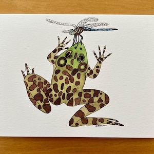 May include: A green and brown frog with a dragonfly perched on its head. The frog has a spotted pattern and the dragonfly has blue wings.