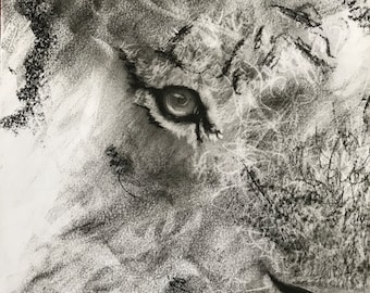 abstract art charcoal drawing (tiger in scratches)