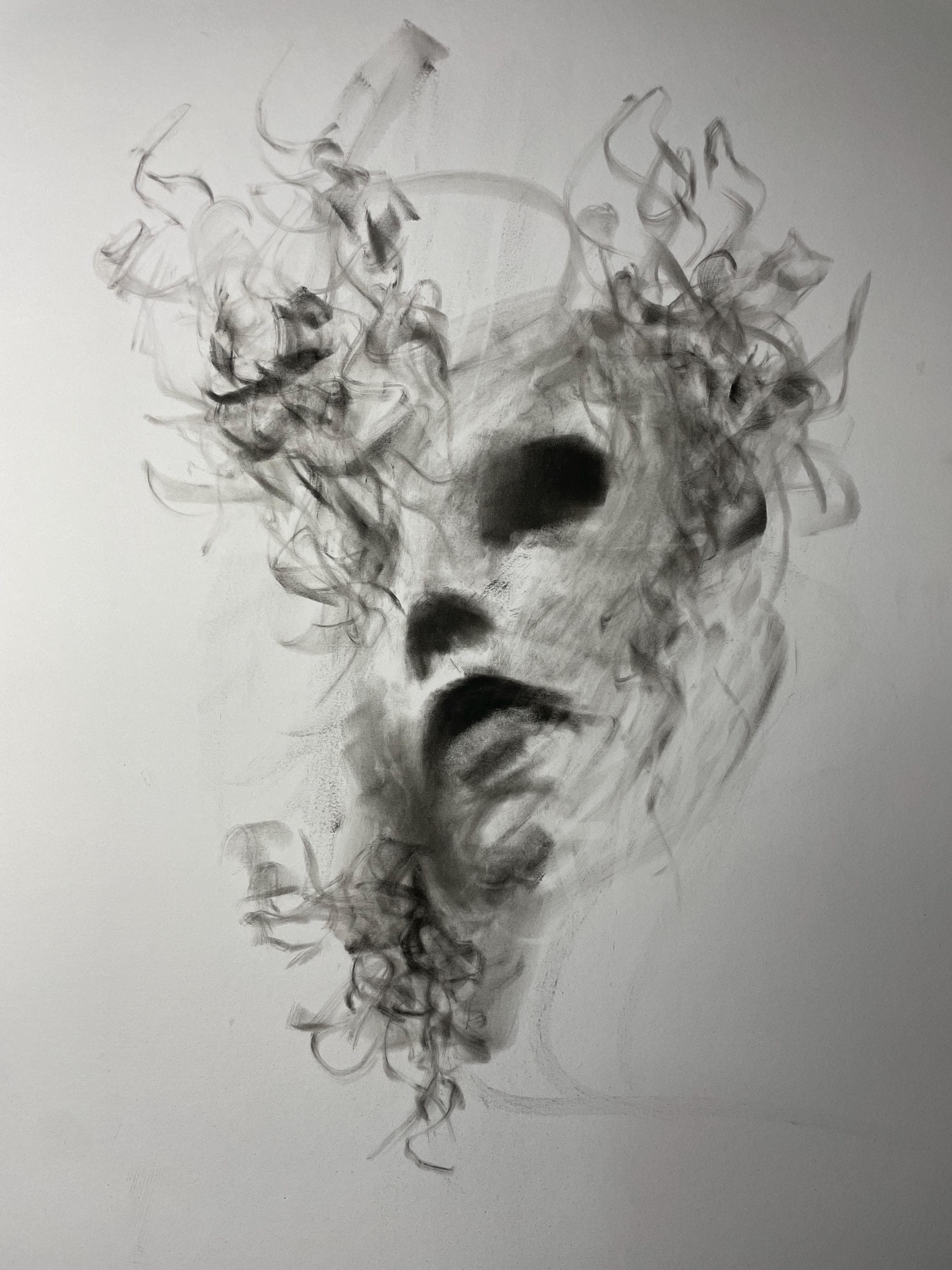 抽象動物顔 鉛筆・木炭画 動物画・木炭画デッサン、スケッチ制作動画集 | でなおしデッサン塾