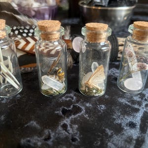 Curiosity jars