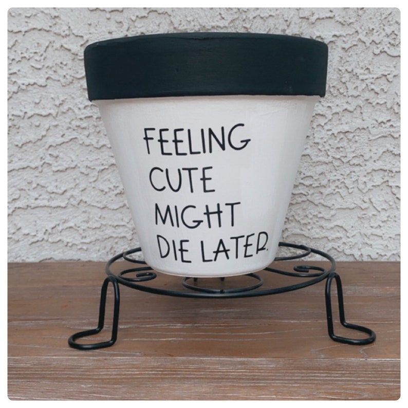Feeling Cute Might Die Later punny plant pot, emo planter gift. image 1