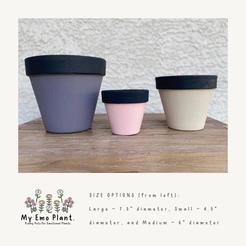 Feeling Cute Might Die Later punny plant pot, emo planter gift. image 6