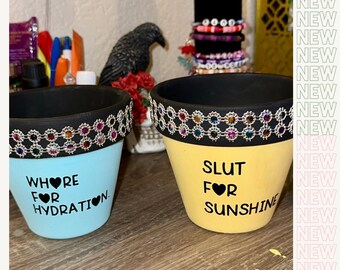 Sunshine and Hydration set of 2  punny plant pots, emo planter gift.