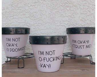 My Chemical Romance Emo Planters, Set of 3. MCR, Music Inspired, Punny Planter, Funny Plant Pot, Cute Gift Idea, Garden, Home. Gerard Way.